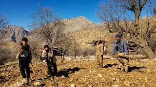 🔥Nomadic life: 🪵Collecting firewood to cook nomads and keep houses warm against the cold🗻❄️
