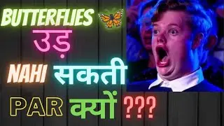 Butterfly उड़ nahi  सकती 😧 Par क्यों | Butterflies cannot fly But why ?? | Interesting facts