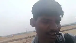  solar plant holi clear place stone clear