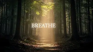 BREATHE 🌿 Deep Calm Forest Music for Stress Relief, Anxiety & Relaxation