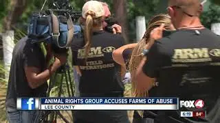 Animal Rights Group Accuses Farms of Abuse