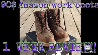 Sureway Amazon work boots, 1 week review!