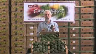 The Produce Beat - Avocados: Origin Matters