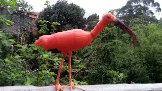 (DIY) Guará Vermelho de Garrafas Pet/vídeo 2