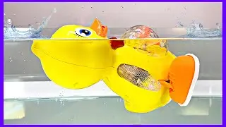 Underwater Side Stepping Duck