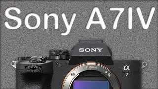 Does the A7IV Have Noisy Images?