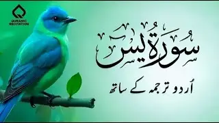 Surah Yasin with Urdu Translation | Beautiful Quranic Recitation | Quran with Urdu & Hindi Tarjama