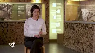 PlanCult Mus&eacute;e Berinzenne 2022