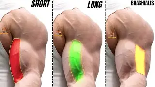 TOP 5 LONG HEAD BICEPS  /  SHORT HEAD BICEPS /  BRACHIALIS BICEPS EXERCISES  AT GYM