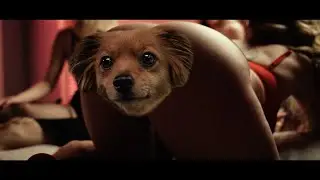 Chris Webby - World On Lock (Official Video)