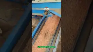 Copper Wire Granulator Machine I Mini Copper Recycling Machine I Granulator for Copper recycling
