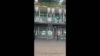 200T/D Rice Milling Plant | Streamlined Rice Milling from Paddy to Packaged Rice #ricemillplant