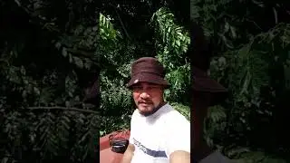 repairing a gutter line and re sealant