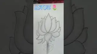 &ldquo;Beautiful Lotus Flower Art&rdquo; #flowerdrawing #lotus #shorts