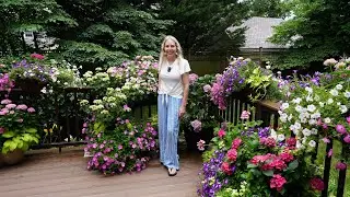 Deck Planter Refresh: Adding Pentas and Sweet Potato Vine