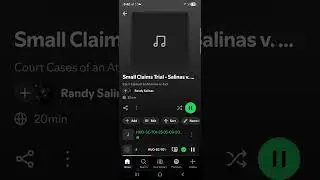 My First  Small Claims Lawsuit Case on September 3rd, 2025 - Salinas v. Verizon 