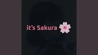 it's Sakura