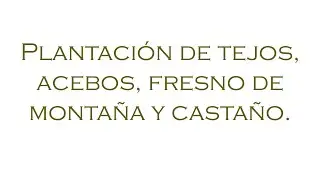 Plantación de tejos, acebos, fresno de montaña y castaño Variedad Judía. Marzo de 2023