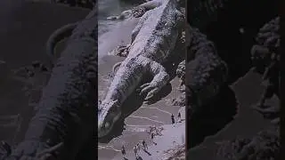 Loch Ness Monster found years ago  #nightmare #beast #creepy #giant #ai #horrorstory #lochness