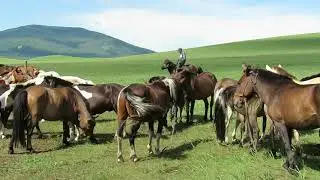 Horse Nomads 2, Mongolia