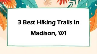 3 Best Hiking Trails in Madison, Wisconsin 2024 | Nature Trails