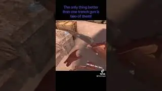 The best weapons to dual wield!
