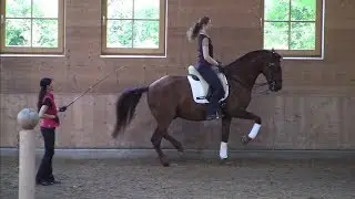 Workshop 2015 with Anja Beran: &bdquo;Descente de main&ldquo; in the piaffe