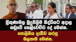 🔴ත්‍රිකුණාමල බුදුපිලිම සිද්ධියට අදාල නඩුවේ හෙළිවෙච්ච දේ මෙන්න.පොලිසිය දැඩිව කරපු බලපෑම මෙන්න.