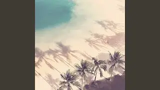 Carefree Summer VIbes