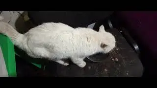 Идёт посылка для уиткофа и пахлави на повторных нормаз.все что украдут сами найдете весноц