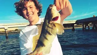 Insane Bonito Bite in the bay!
