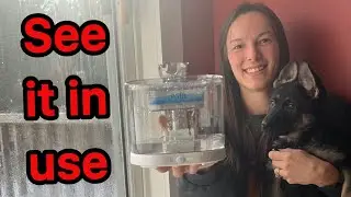 2 things you must know BEFORE buying a Pet Water Fountain