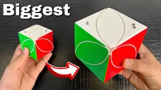 I Bought the Biggest Leaf Cube 🤯