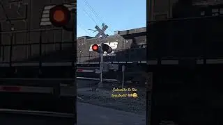 NS4863, AC44C6M, working hard. #shorts #nstrains #ac44c6m #acdc according #trains #railfan.
