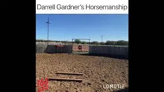 horsemanship horse training young horse horse trainer colt starting
