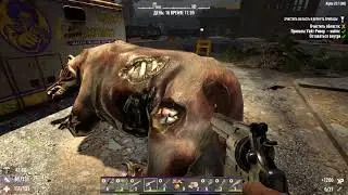 7 Days to Die alpha 20.1 (Смогли пережить медведя и получили помповое ружье) #16