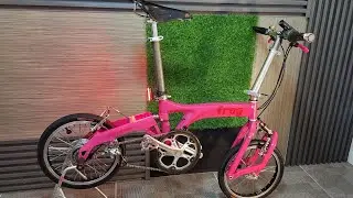 Birdy folding bike frog