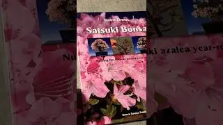 Intermediate Level Bonsai Books: 8 #bonsaitrees #azalea #bonsai