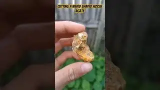 Cutting a Weird Shaped Aussie Agate #thefinders #agate #cuttingrocks
