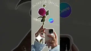 Самый простой способ оформить фотографию в Canva 2024 | Эстетика | Canva #canvapro #редактировани...