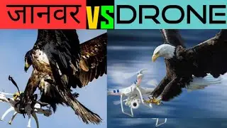OMG😨😨Dogs vs Drone camera //कौन जीतेगा बतोआओ #shorts #youtubeshorts #ytshorts