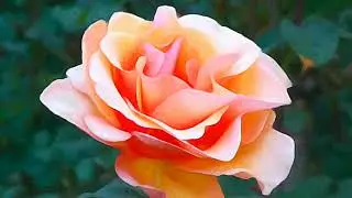 Beautiful Piano Music: Daybreak