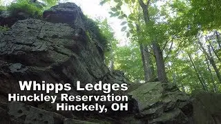 Hiking Whipps Ledges | Hinckley Reservation | Hinckley, OH