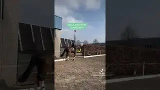 Tipps f&uuml;r besseres Aussitzen im Galopp #reiten