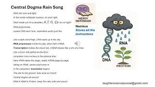 Central Dogma Rain song sing along (Biology kidz)