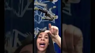 Explaining a color inverted video
