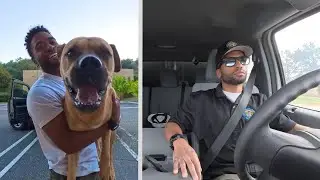 Long Day, Loyal Dog: Workday + CarLife 