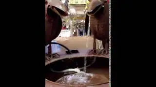 Barfing bird fountain