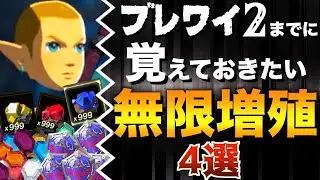 【徹底解説】誰でも簡単！冒険を有利に進める無限増殖集４選【ゼルダの伝説ブレスオブザワイルド】【負荷世界】