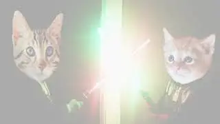 Cats Meow Virtual Race | Yes.Fit